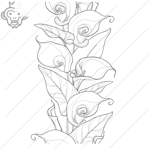 Plant Pack # 1